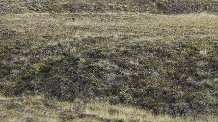 Similar image 22370365