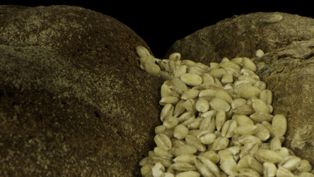 Similar image 22370513