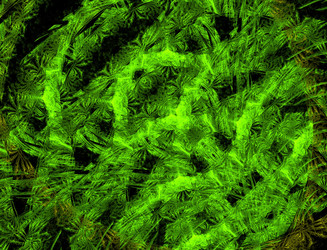 Similar image 22349990