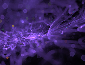 Similar image 22350013