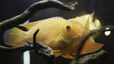 Similar image 22363481