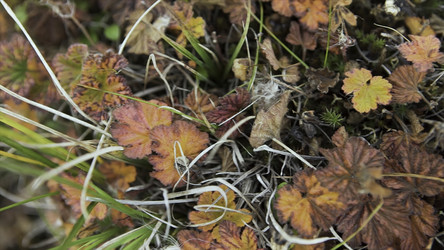 Similar image 22363541