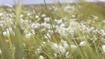 Similar image 22363555