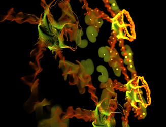 Similar image 22352185