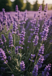 Similar image 22351047