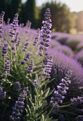 Similar image 22373327