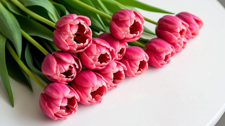 Similar image 22349135