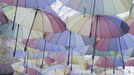 Similar image 22367168