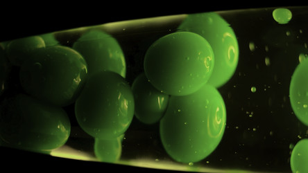 Similar image 22367705