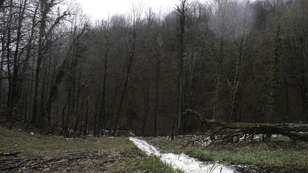 Similar image 22368057