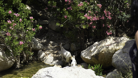 Similar image 22368138