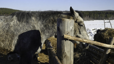 Similar image 22368169