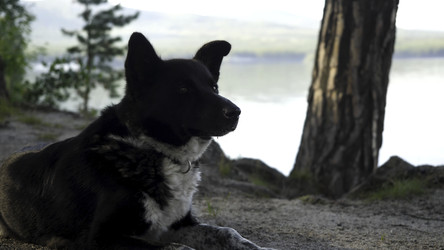 Similar image 22368255