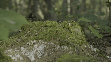 Similar image 22368314