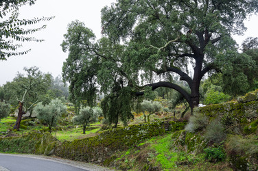 Similar image 22372378