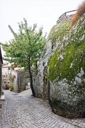 Similar image 22372408