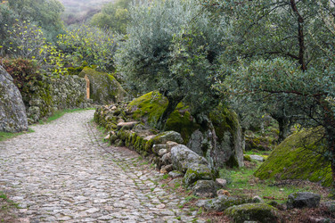 Similar image 22372465