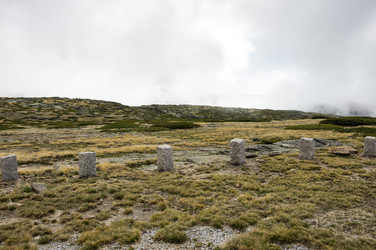 Similar image 22372588