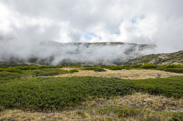 Similar image 22372589