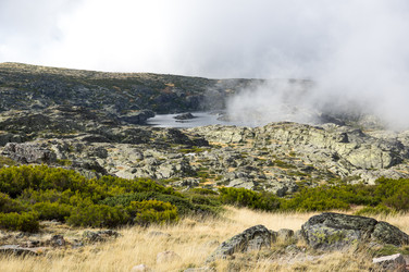 Similar image 22372618