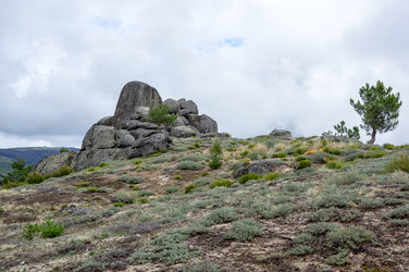 Similar image 22372650