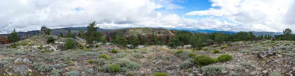 Similar image 22372660