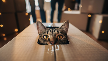 Similar image 22351021