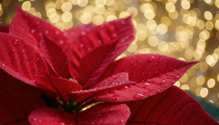 Similar image 22351054