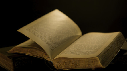 Similar image 22368945