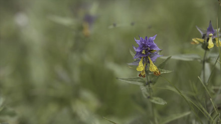 Similar image 22369427