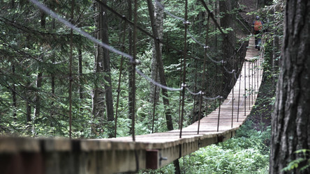 Similar image 22369561