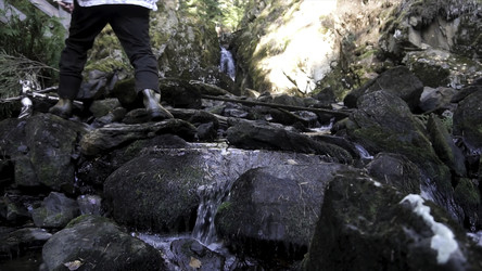 Similar image 22369754