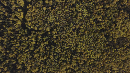 Similar image 22369922