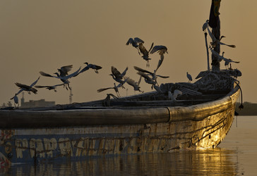 Similar image 22348244