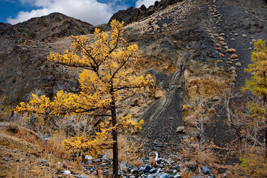 Similar image 22348248