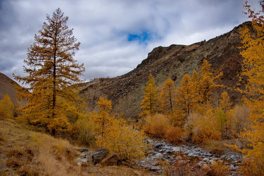 Similar image 22348249