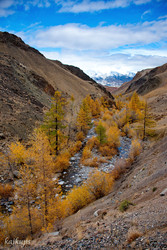 Similar image 22348251