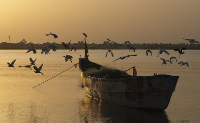 Similar image 22348254