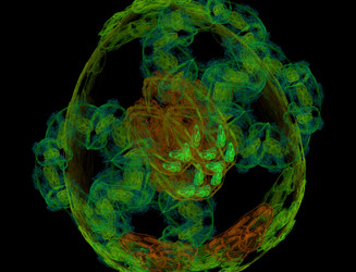 Similar image 22349973