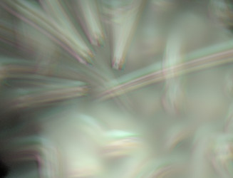 Similar image 22351472