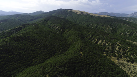 Similar image 22363470