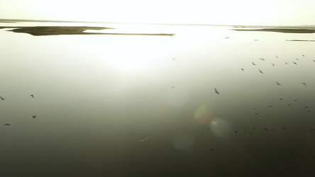 Similar image 22367123