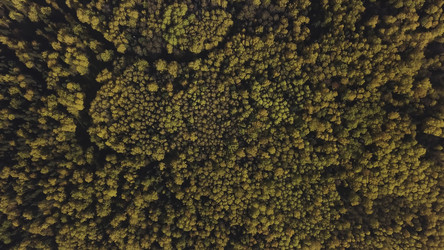 Similar image 22367749