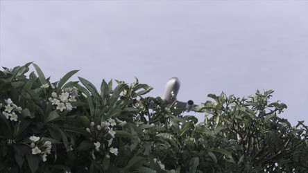 Similar image 22368061