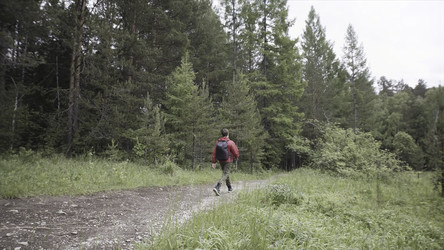 Similar image 22367857