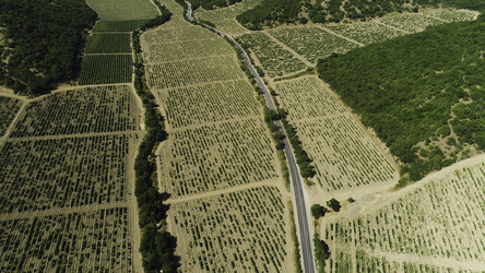 Similar image 22367915