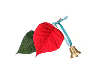 Similar image 22361515