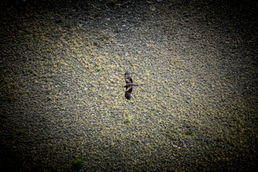 Similar image 22348839