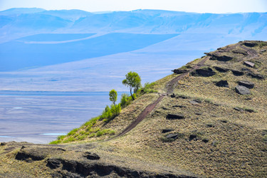 Similar image 22348842