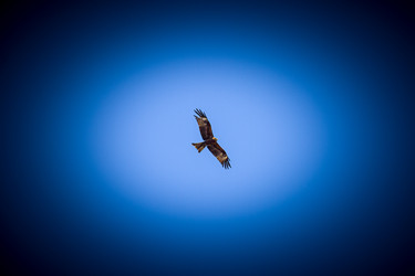 Similar image 22348848